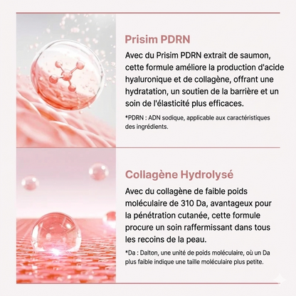 NOVA® Éclat PDRN Collagène Masque